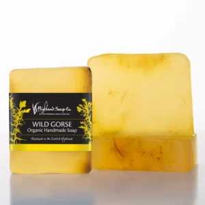 Wild Gorse